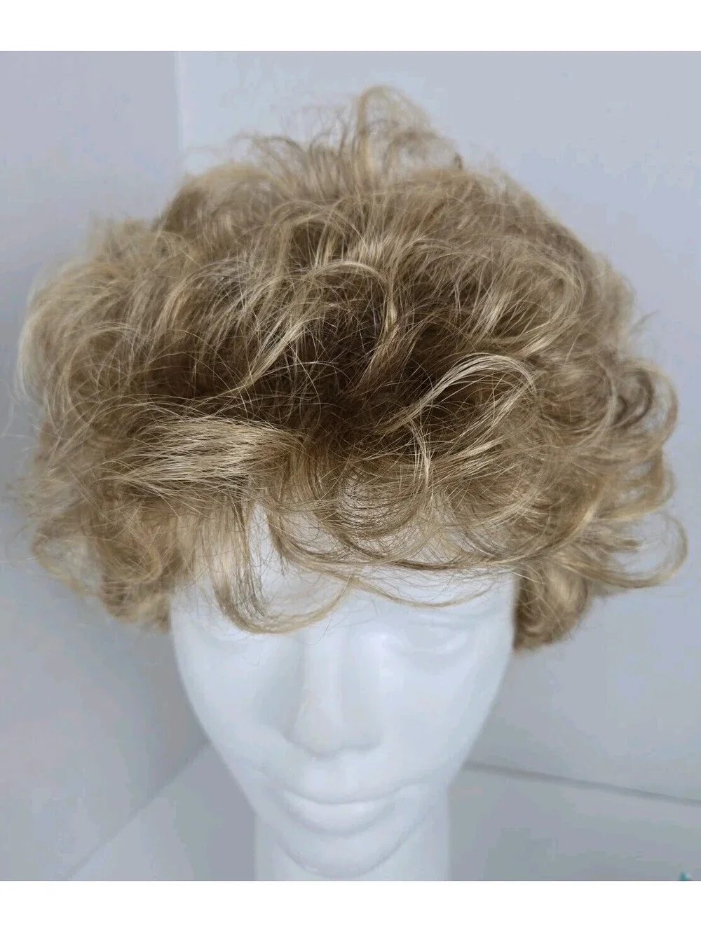 The Wig Company Fashion Club Designs Style Focus Color 365 MPetite Wig